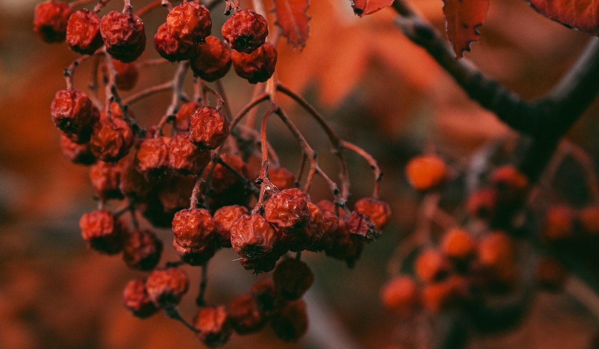 blog single post