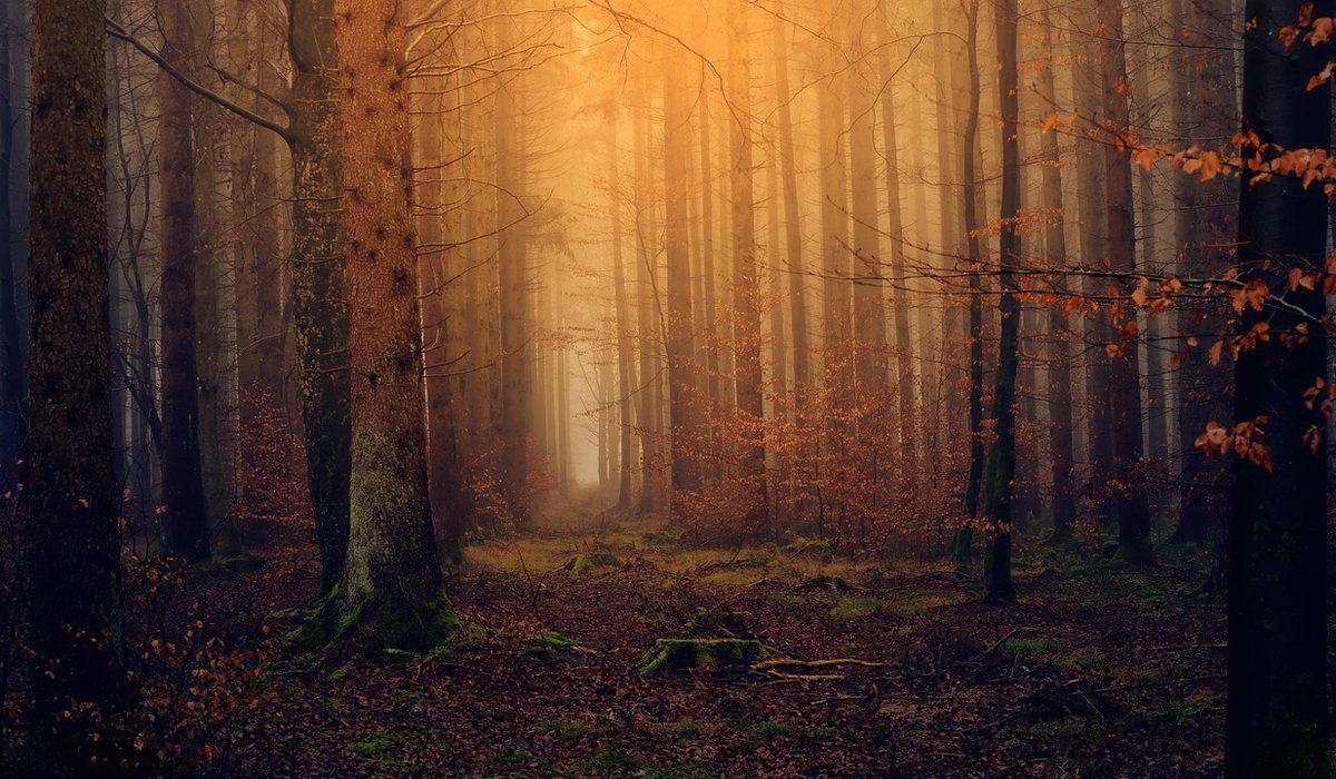 blog single post